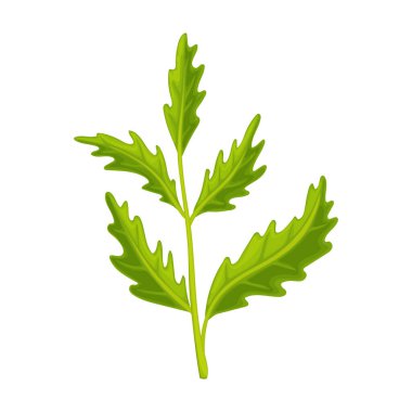 Gelincik çiçeği vektör karikatür simgesi. Beyaz arka planda vektör illüstrasyon afyon kırmızısı. Kırmızı rengin izole edilmiş çizgi film resimleme simgesi.