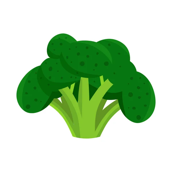 Ilustração vetorial de brócolis e ícone de repolho. Coleção de brócolis e ingrediente vetor ícone para estoque. — Vetor de Stock