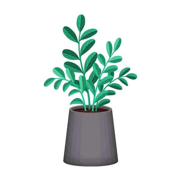 Icône de dessin animé vectoriel Flowerpot. Illustration vectorielle pot de fleurs sur fond blanc. Isolé icône dessin animé illustration de pot de fleurs. — Image vectorielle