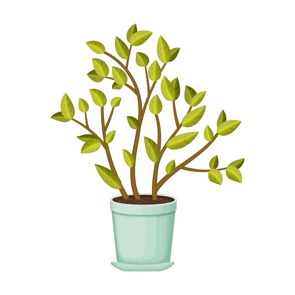 Ícone de desenho animado vetorial Flowerpot. Vector vaso de flores ilustração no fundo branco. Ícone de ilustração de desenhos animados isolado de vaso de flores. — Vetor de Stock