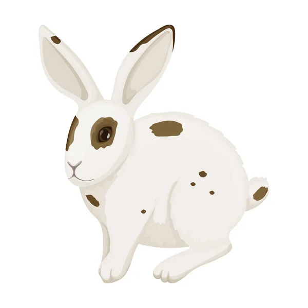 Ikona wektora królika. Wektor ilustracji królik na białym tle. Izolowana ikona ilustracji rysunkowej królika. — Wektor stockowy