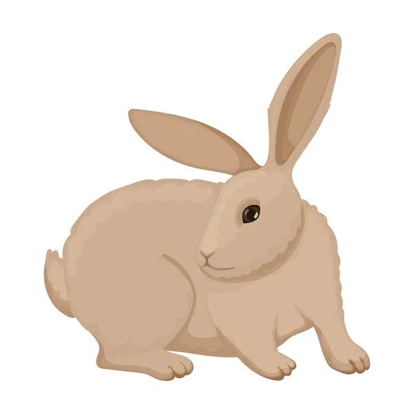 Ícone de desenho animado vetorial de coelho. Coelho de ilustração vetorial no fundo branco. Ícone de ilustração de desenhos animados isolado de coelho. — Vetor de Stock