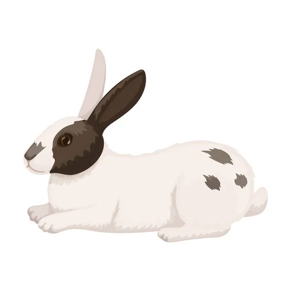 Ícone de desenho animado vetorial de coelho. Coelho de ilustração vetorial no fundo branco. Ícone de ilustração de desenhos animados isolado de coelho. — Vetor de Stock