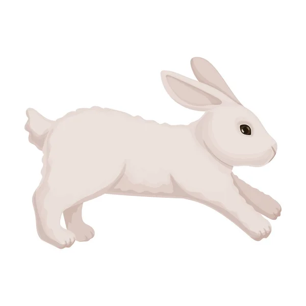 Икона векторного кролика. Векторная иллюстрация кролика на белом фоне. Изолированная карикатура на иконку кролика. — стоковый вектор