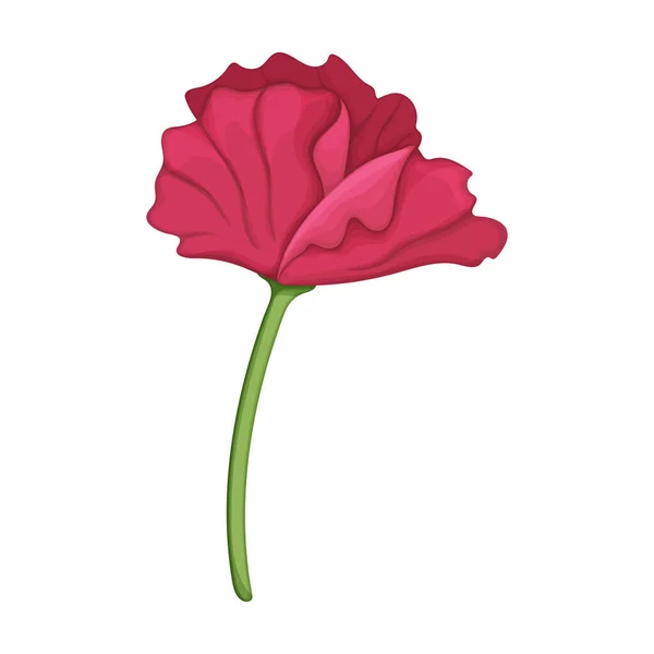 Fleur de pavot vecteur icône de dessin animé. Illustration vectorielle coquelicot rouge sur fond blanc. Isolée icône illustration de dessin animé de elower rouge. — Image vectorielle
