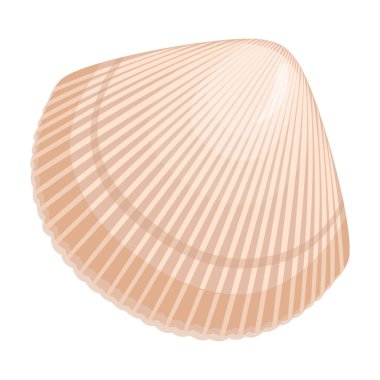 Deniz kabuğu vektör karikatür simgesi. Beyaz arka planda vektör illüstrasyon deniz kabuğu. Deniz kabuğunun izole edilmiş çizgi film çizim simgesi.