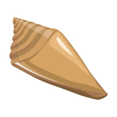 Deniz kabuğu vektör karikatür simgesi. Beyaz arka planda vektör illüstrasyon deniz kabuğu. Deniz kabuğunun izole edilmiş çizgi film çizim simgesi.