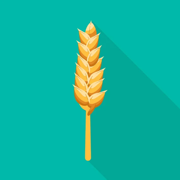 Vektorové znázornění pšenice a stopky. Kolekce pšeničného a zlatého znaku pro web. — Stockový vektor