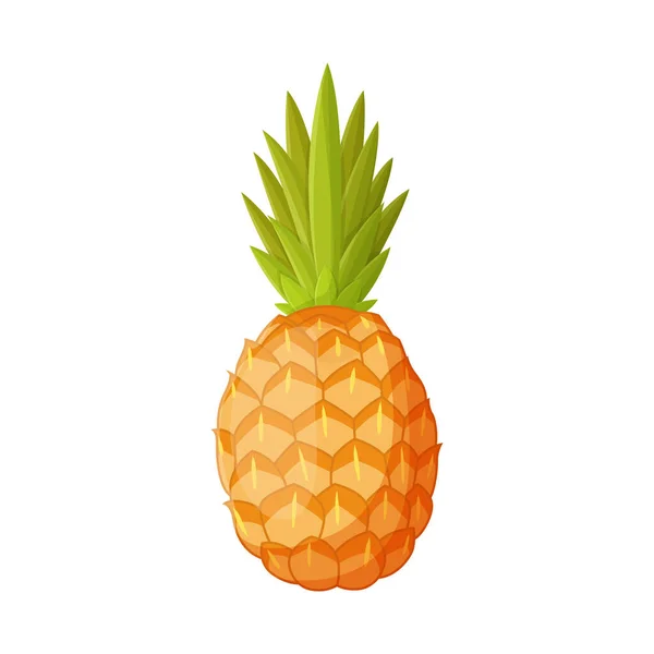 Ananas ve vitamin sembollerinin vektör çizimi. Ananas ve tropikal hisse senedi temsili grafiği. — Stok Vektör