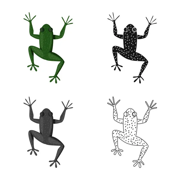 Векторний дизайн жаби та зеленого символу. Набір жаб і токсичних запасів Векторні ілюстрації . — стоковий вектор