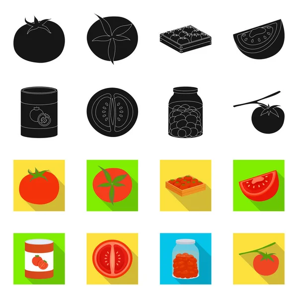 Vector design of vegetable and delicious icon. Set of vegetable and natural vector icon for stock. — Stock Vector