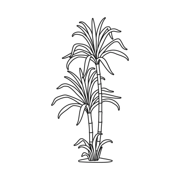 Illustration vectorielle du logo palmier et canne. Élément Web de palmier et icône vectorielle de champ pour le stock. — Image vectorielle
