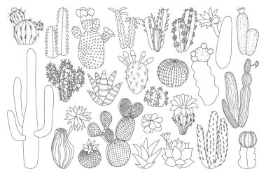 Kaktüs izole edilmiş dış hat simgesi. Beyaz arka planda vektör illüstrasyon Meksika kaktüsü. Vektör ana hatları Çiçekli ikon kaktüsü.