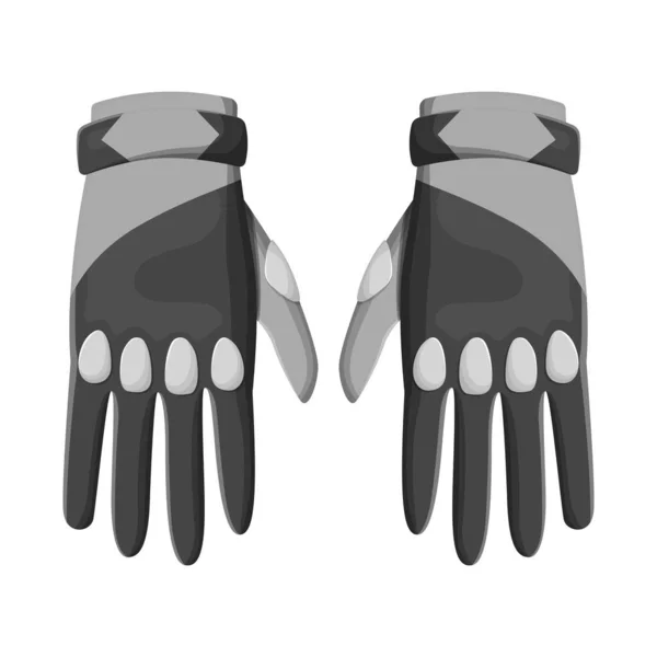 Vector illustratie van handschoenen en duik icoon. Grafiek van handschoenen en waterdichte voorraad symbool voor web. — Stockvector