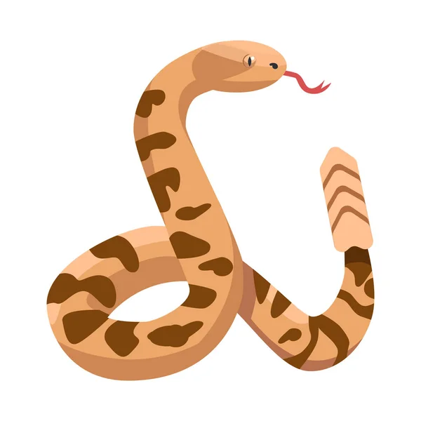 蛇和蟒蛇符号的矢量设计。蛇和爬行鱼群符号的Web元素. — 图库矢量图片