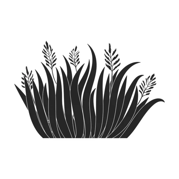 Green grass vector icon.Black vector icon isolated on white background green grass. — Stock Vector