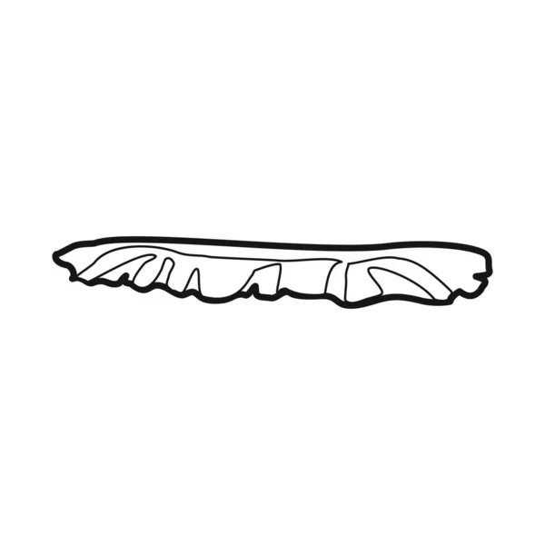 Векторная иллюстрация символа салата и листа. Графический символ салата и диетических запасов для паутины. — стоковый вектор