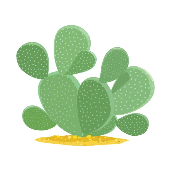 Ilustracja wektorowa kaktusa i soczystej ikony. Grafika kaktusa i ikony wektora zielonego w magazynie. — Wektor stockowy