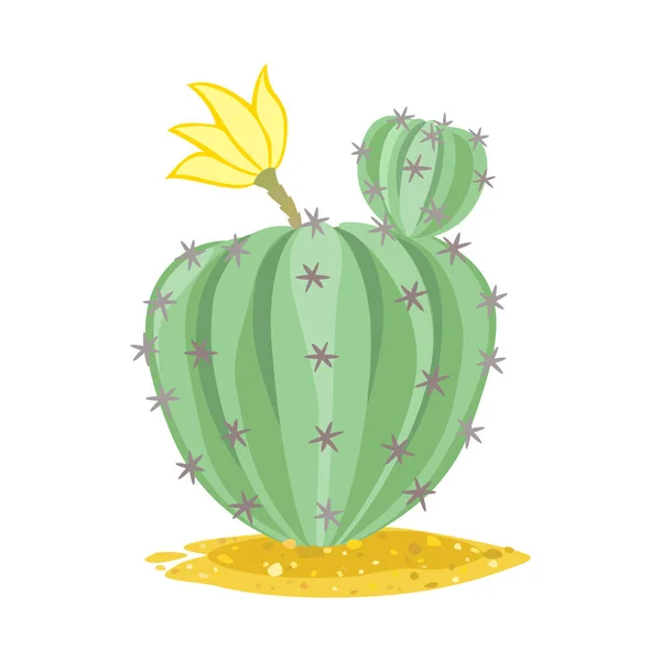 Objet isolé de cactus et icône de jardin. Graphique de cactus et icône vectorielle en fleurs pour le stock. — Image vectorielle