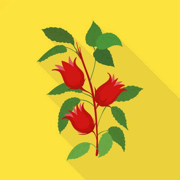 Elszigetelt tárgy virág és hibiszkusz jel. Virág és trópusi állomány szimbólum grafikája a web számára. — Stock Vector