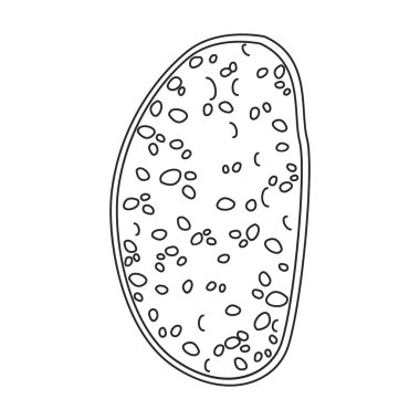 Sandviç vektör simgesi. Beyaz arkaplan sandviçi üzerinde izole edilmiş ana vektör simgesi.