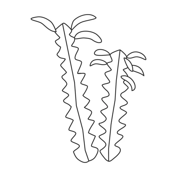 Cactus dell'icona vettoriale del fiore. Icona vettoriale di contorno isolata su cactus di fondo bianco del fiore. — Vettoriale Stock
