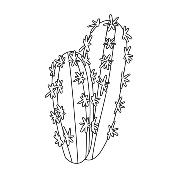 Virág vektor ikon kaktusz körvonalazott vektor ikon elszigetelt fehér háttér kaktusz virág. — Stock Vector