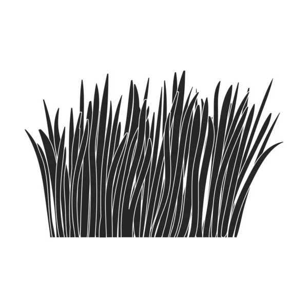 Ikona vektoru zelené trávy.Černá ikona vektoru izolované na bílém pozadí zelená tráva. — Stockový vektor