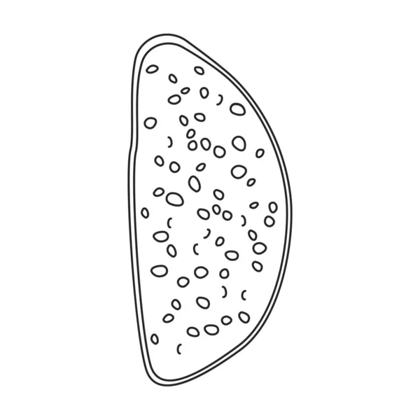 Εικονίδιο διανύσματος σάντουιτς Περίγραμμα διανύσματος απομονωμένο σε λευκό φόντο σάντουιτς. — Διανυσματικό Αρχείο