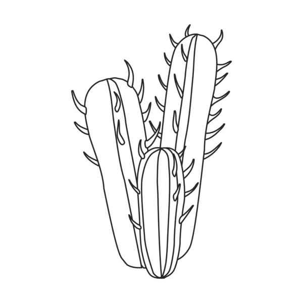 Cactus vector icon.Outline vector icon isolated on white background cactus . — Stock Vector