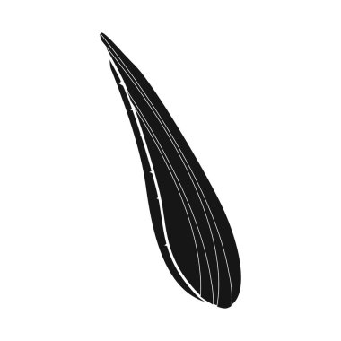 Yaprak ve aloe logosunun izole nesnesi. Yaprak ve yeşil stok vektör illüstrasyonunun web ögesi.