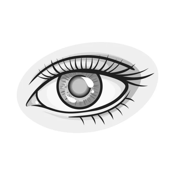 벡터 디자인의 눈 과 시력 로고. 눈의 웹 요소와 주식에 대한 진단용 벡터 아이콘. — 스톡 벡터