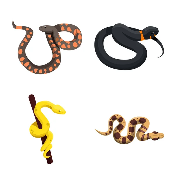 Design vetorial de cobra e sinal assustador. Coleção de serpente e ícone de vetor de perigo para estoque . — Vetor de Stock