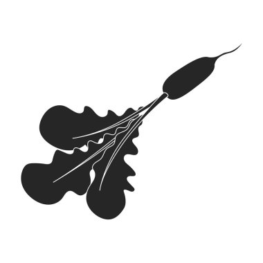 Turp vektör simgesi. Siyah vektör simgesi beyaz arkaplan turpunda izole edildi.