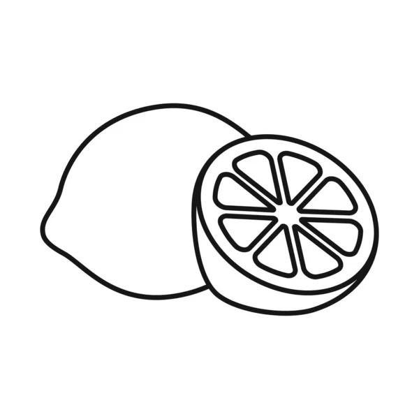 Ізольований об'єкт із зеленого та лимонного символів. Графіка зеленого і лайма Векторна піктограма для запасів . — стоковий вектор