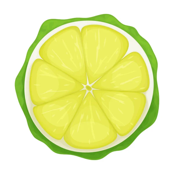 Bergamot vector cartoon icon. Vector illustration lime on white background. Isolated cartoon illustration icon of bergamot . — Stock Vector