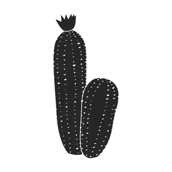 Cactus de icon.Black vector icono de flor aislado sobre fondo blanco cactus de flor. — Vector de stock