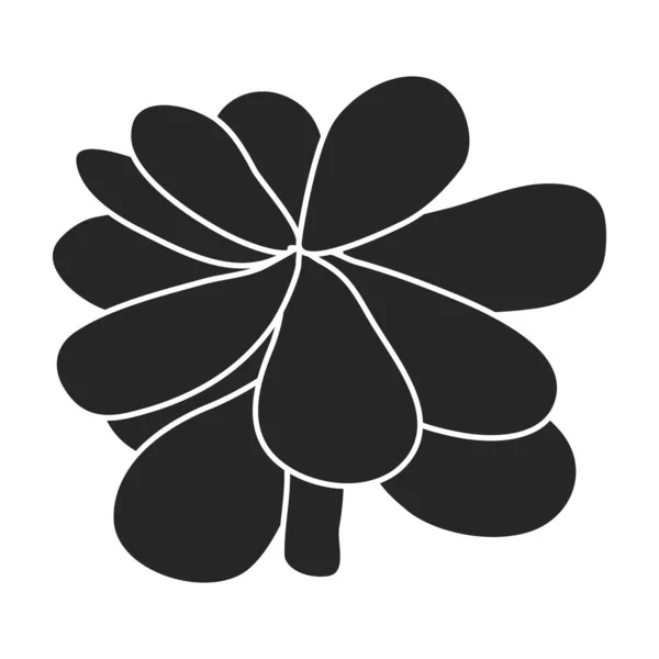 Cactus de icon.Black vector icono de flor aislado sobre fondo blanco cactus de flor. — Vector de stock
