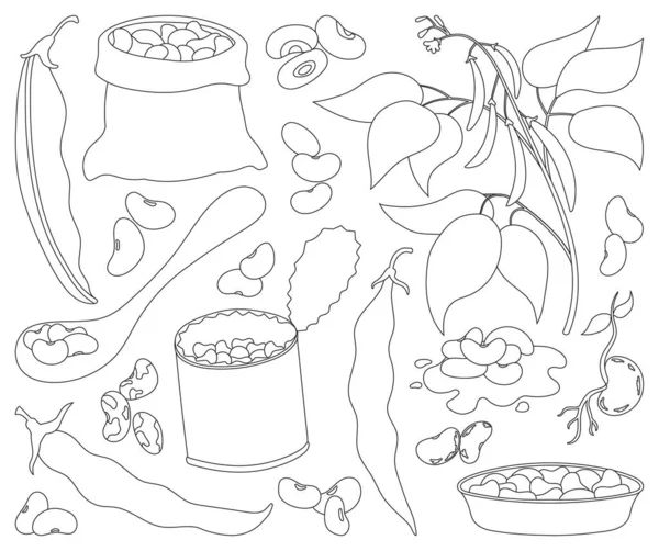 Illustration vectorielle des haricots sur fond blanc .Ensemble de contours isolés icône soja. Ensemble de contours vectoriels icône haricot de nourriture . — Image vectorielle