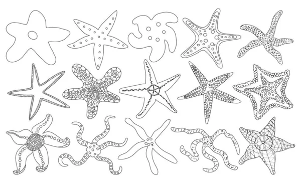 Mare stelle marine vettore contorno set icona. Illustrazione vettoriale stella marina su sfondo bianco. Isolato schema set icona mare stelle marine. — Vettoriale Stock