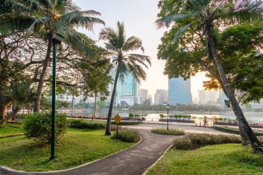 Bisiklet / bisiklet ve sabah parkta koşu / yürüyüş şeridi