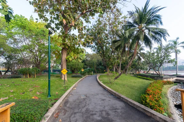 Bike / bicycle and jogging / running lane way in park in the morning