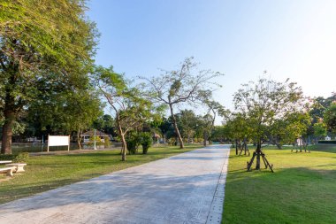 Park yolları ve yeşil çimenler