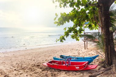 Kayık sahile demir attı.