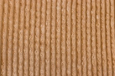 Close Up texture of orange corduroy fabric backgrounds