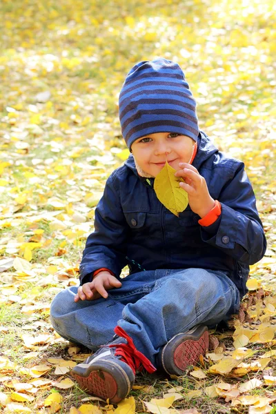 Smelling the autumn leaf — Stock Photo, Image