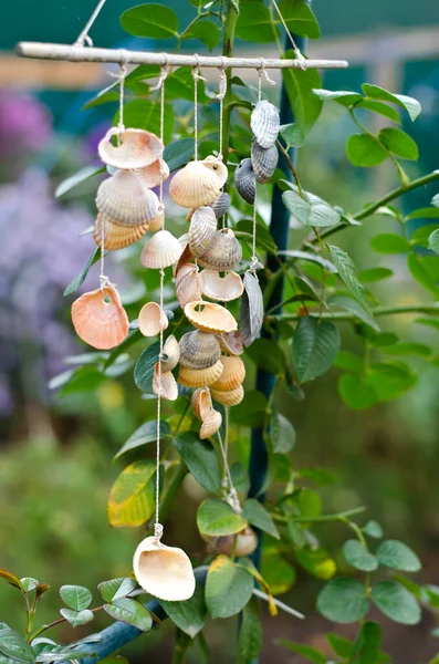 Decoración Del Jardín Con Conchas Mar Cuerda Materiales Decorativos Hechos Imagen De Stock