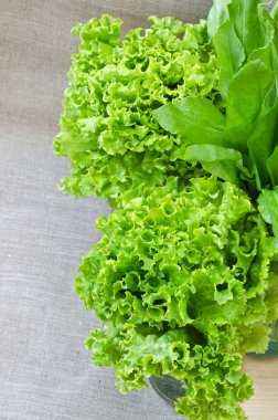 Taze marul ve kuzukulağı.