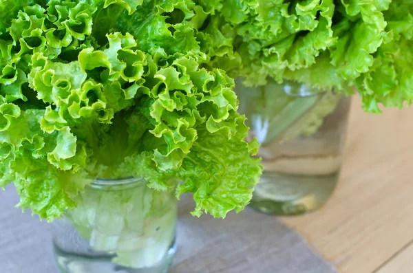 Lechuga fresca — Foto de Stock