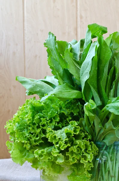 Lechuga fresca y acedera . — Foto de Stock